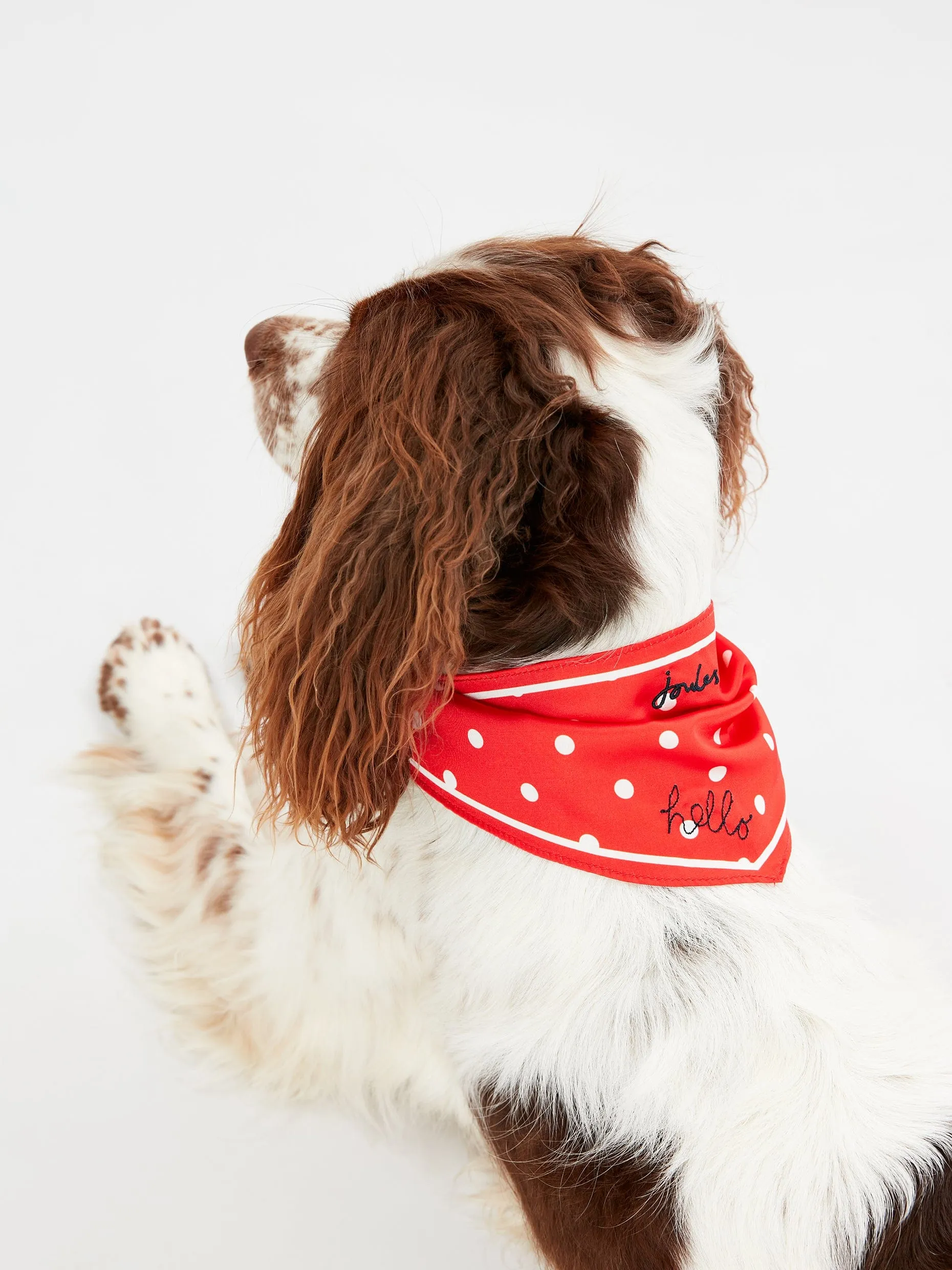 Joules Red Hello Polka Dot Dog Neckerchief