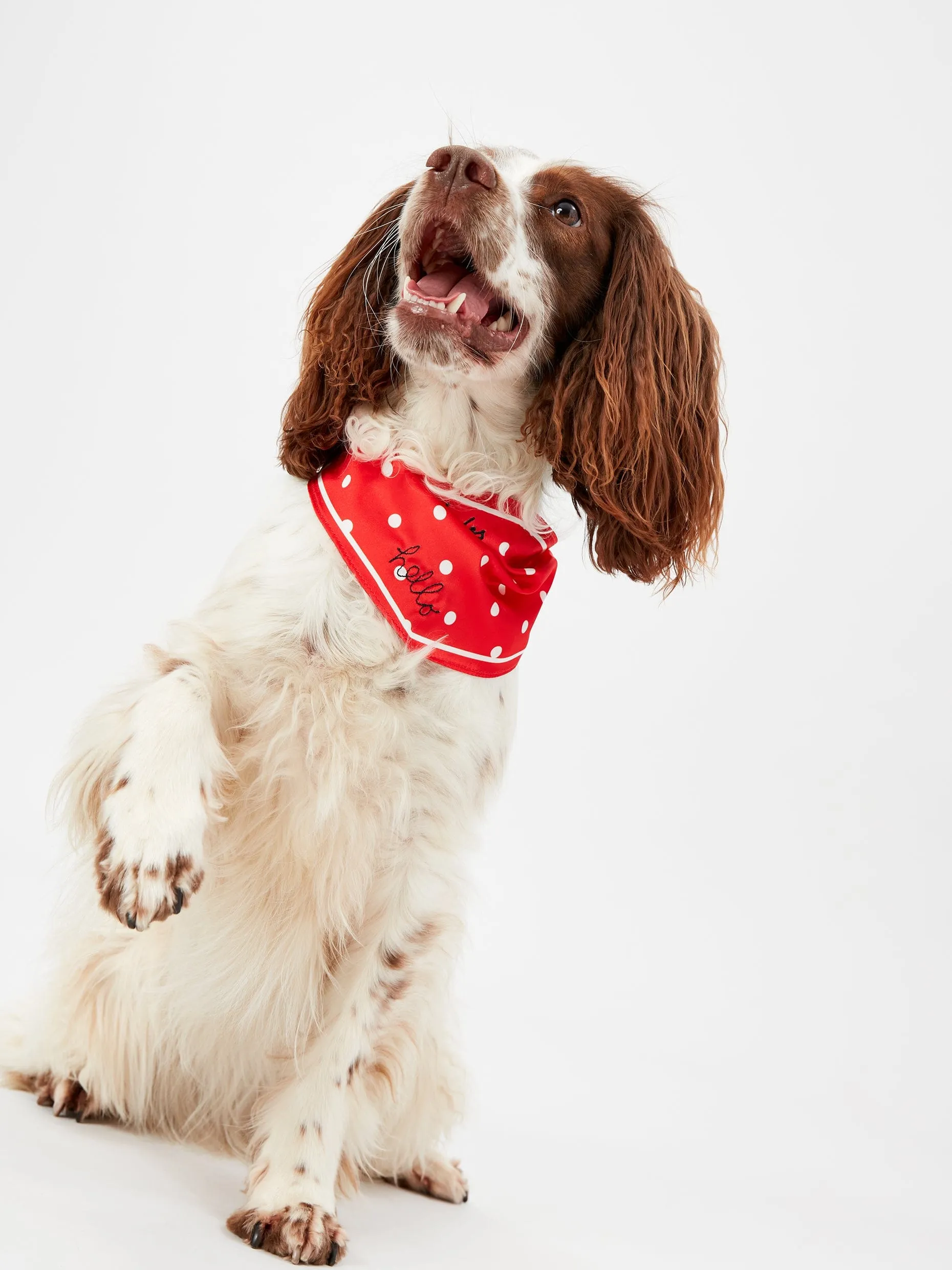 Joules Red Hello Polka Dot Dog Neckerchief