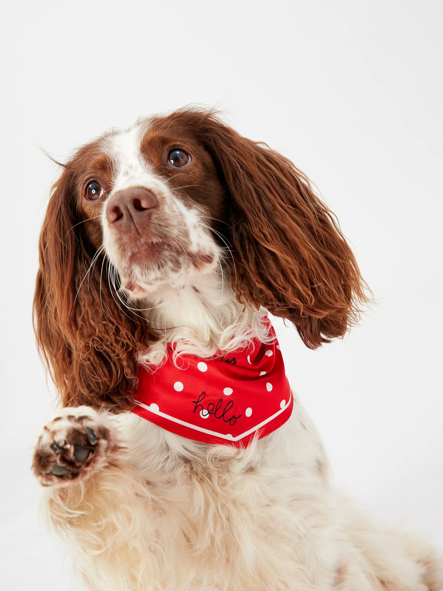 Joules Red Hello Polka Dot Dog Neckerchief