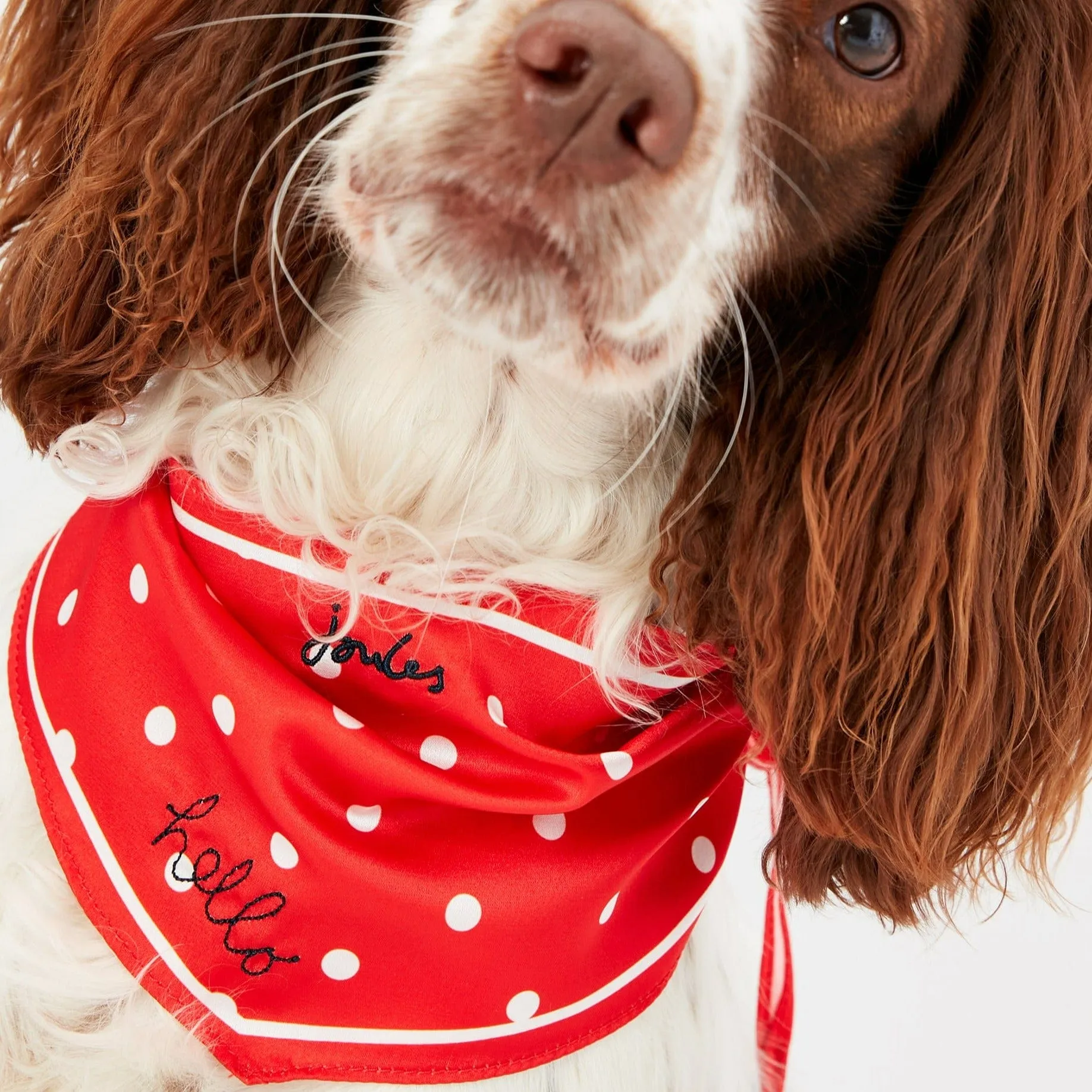 Joules Red Hello Polka Dot Dog Neckerchief