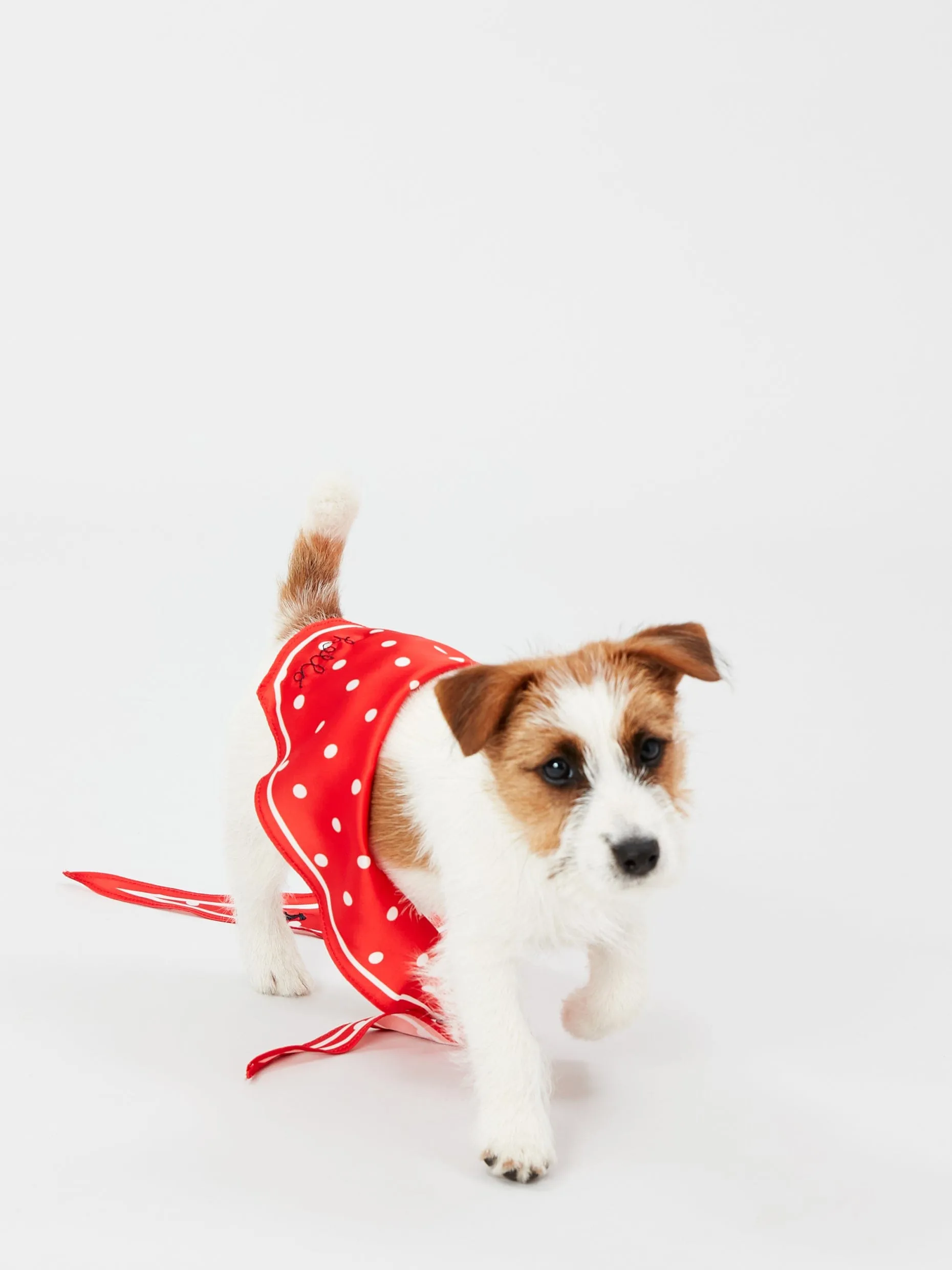 Joules Red Hello Polka Dot Dog Neckerchief